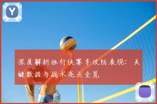 深度解析独行侠赛季攻防表现：关键数据与战术亮点全览
